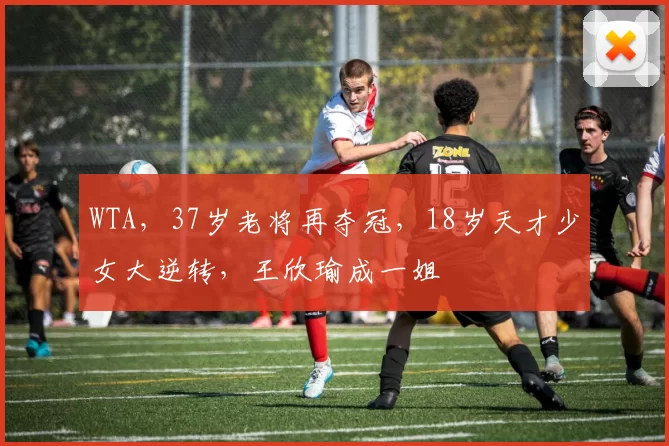 WTA，37岁老将再夺冠，18岁天才少女大逆转，王欣瑜成一姐