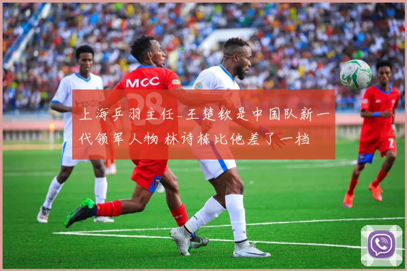 上海乒羽主任_王楚钦是中国队新一代领军人物 林诗栋比他差了一档