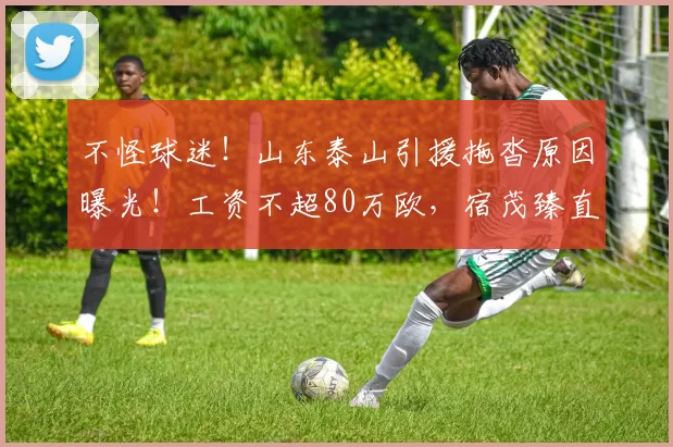 不怪球迷！山东泰山引援拖沓原因曝光！工资不超80万欧，宿茂臻直接对接