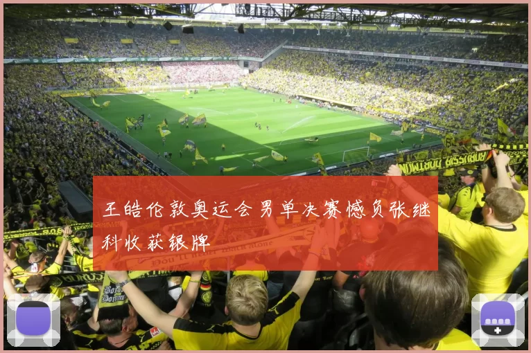 王皓伦敦奥运会男单决赛憾负张继科收获银牌