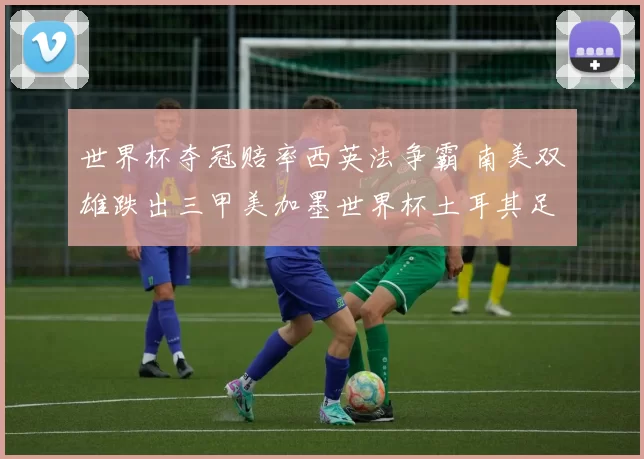 世界杯夺冠赔率西英法争霸 南美双雄跌出三甲美加墨世界杯土耳其足球队意大利足球队西班牙足球队捷克足球队 国内足球 新浪体育