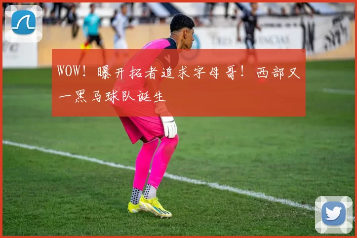 WOW！曝开拓者追求字母哥！西部又一黑马球队诞生