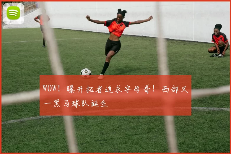 WOW！曝开拓者追求字母哥！西部又一黑马球队诞生