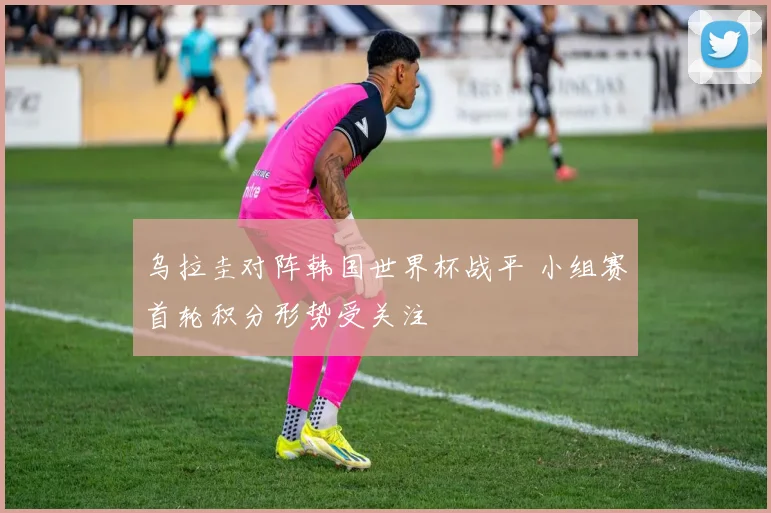 乌拉圭对阵韩国世界杯战平 小组赛首轮积分形势受关注