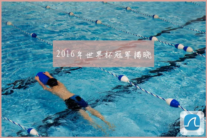 2016年世界杯冠军揭晓
