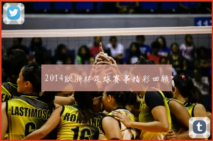 2014欧洲杯足球赛事精彩回顾