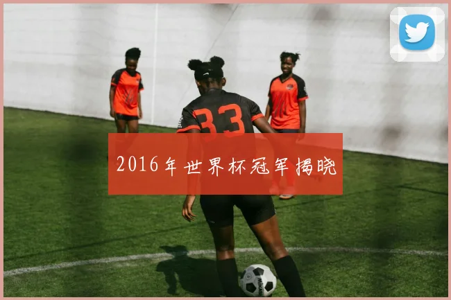 2016年世界杯冠军揭晓